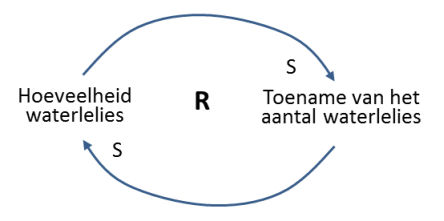 reinforcement versterkende causale lus systeemdenken jan jutten